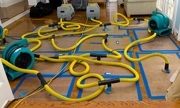 Professional Water Damage Restoration technician working in Manteo, NC